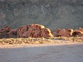 Las Vegas 2010 - Valley of Fire 0961